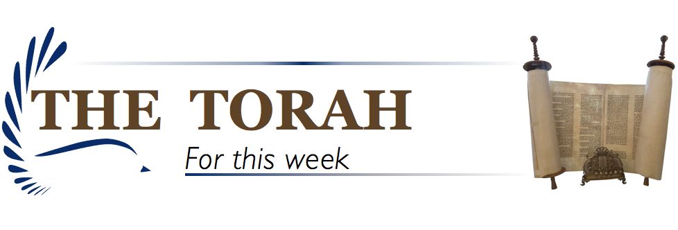 Torah Banner