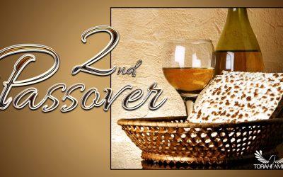 The Second Passover