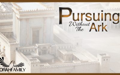 Pursuing Without the Ark