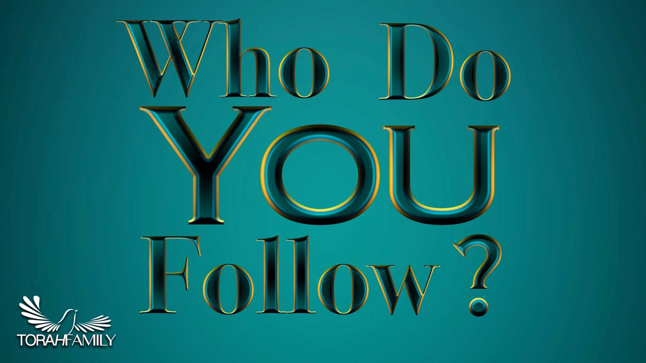 Who Do You Follow?