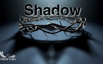 The Shadow