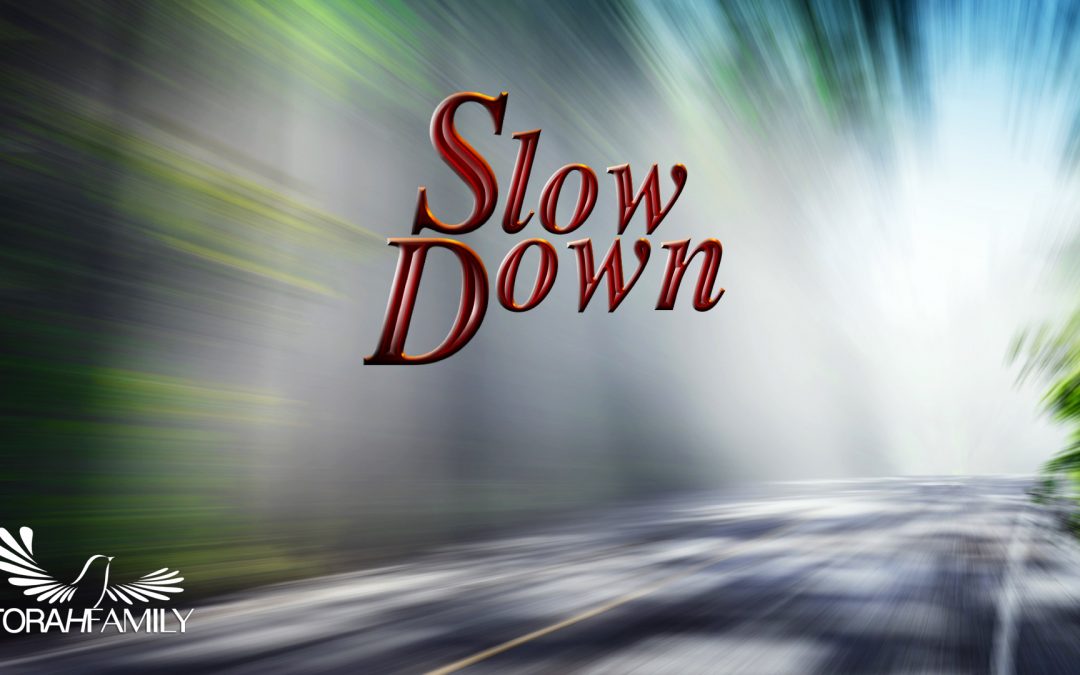 Slow Down