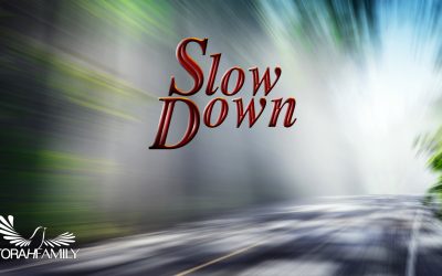 Slow Down