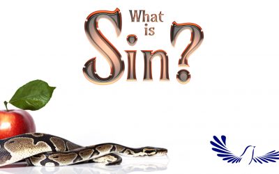 What is Sin?