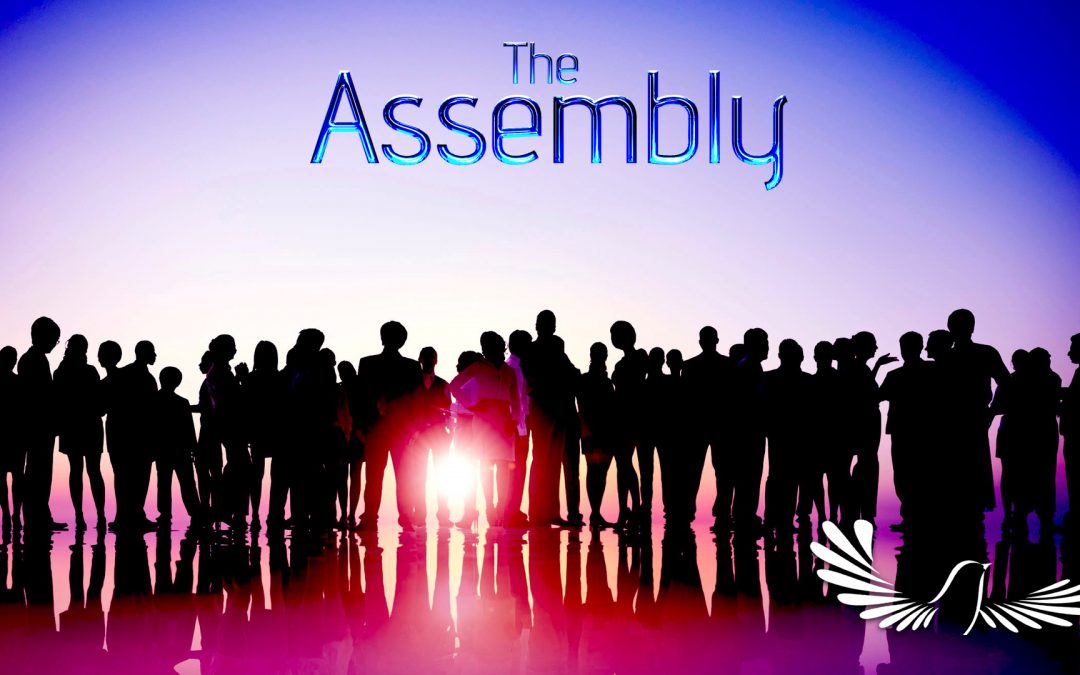 The Assembly