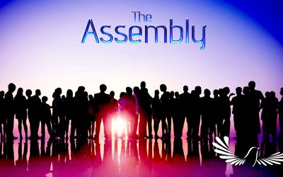 The Assembly