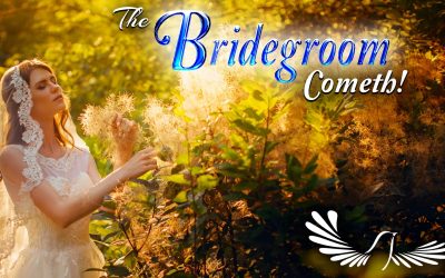 The Bridegroom Cometh!