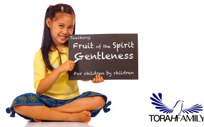 Fruit of the Spirit – Gentleness