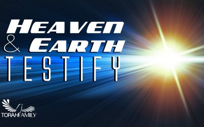 Heaven and Earth Testify