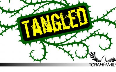 Tangled