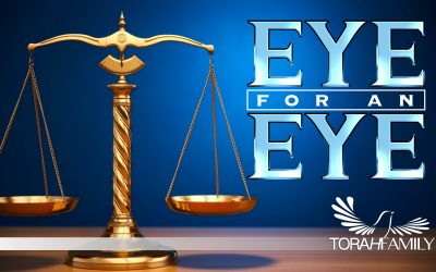 Eye for an Eye