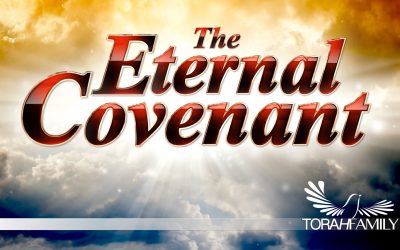 The Eternal Covenant