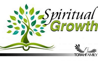 Spiritual Growth