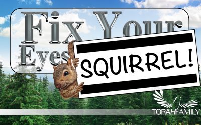 Fix Your Eyes… Squirrel!