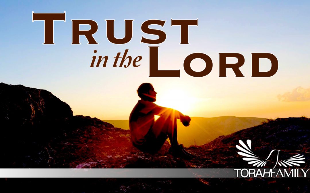 Trust in the Lord