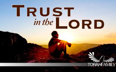 Trust in the Lord