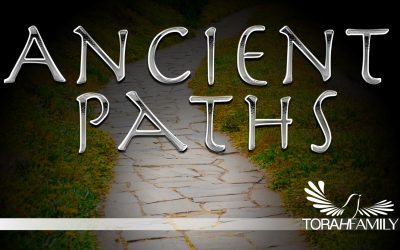 Ancient Paths