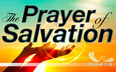 The Prayer of Salvation