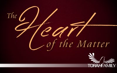 The Heart of the Matter