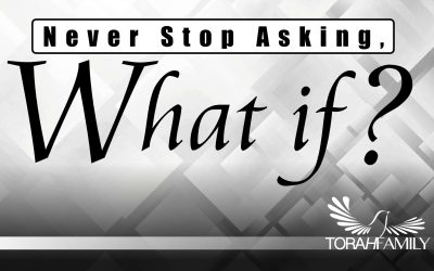 Never Stop Asking, “What if?”
