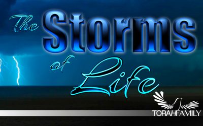The Storms of Life