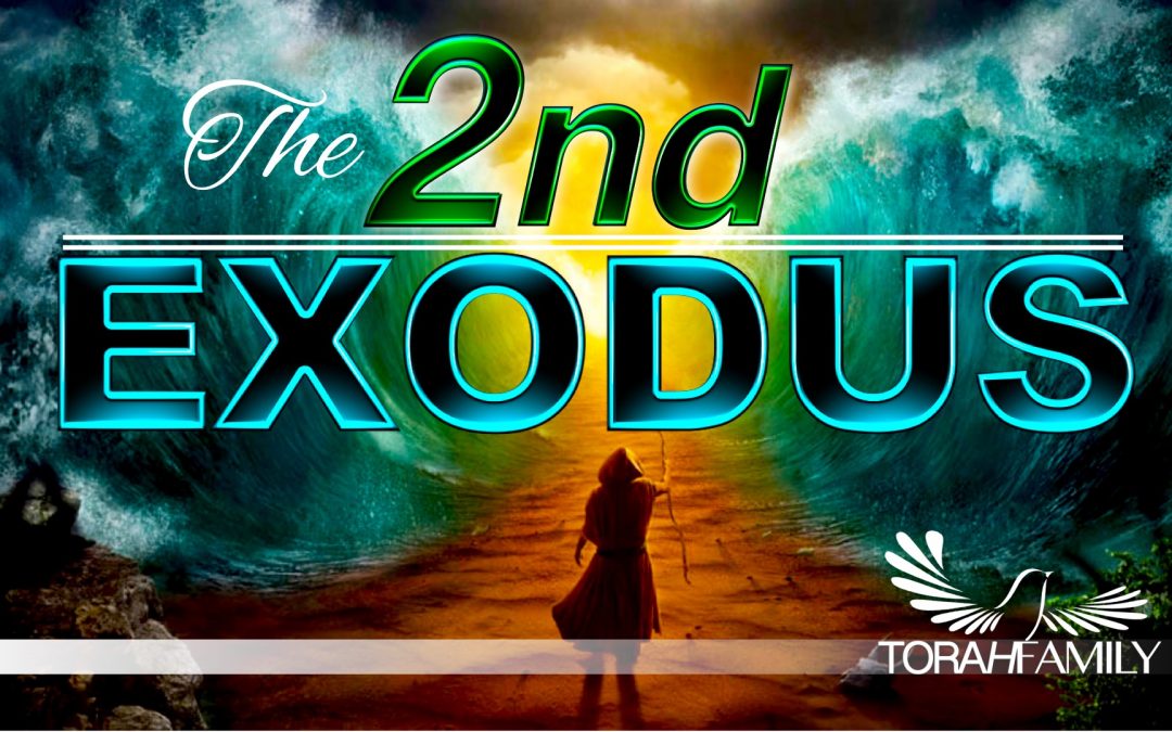 The 2nd Exodus