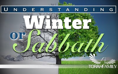 Understanding Winter or Sabbath
