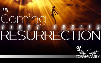 The Coming First Fruits Resurrection