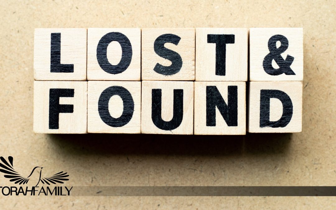 Lost and Found