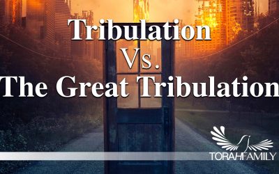 Tribulation Vs. The Great Tribulation