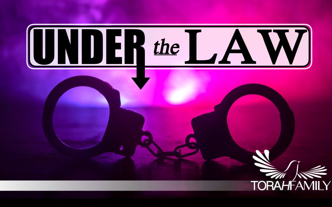 Under the Law
