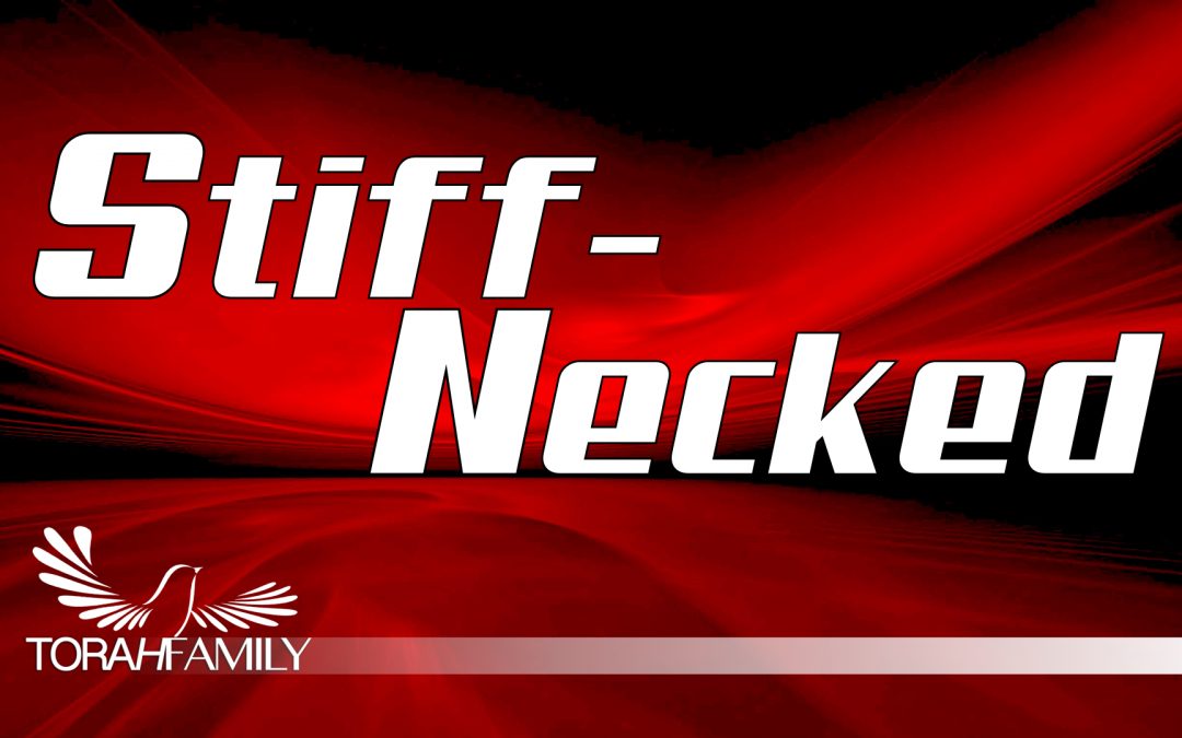 Stiff-Necked