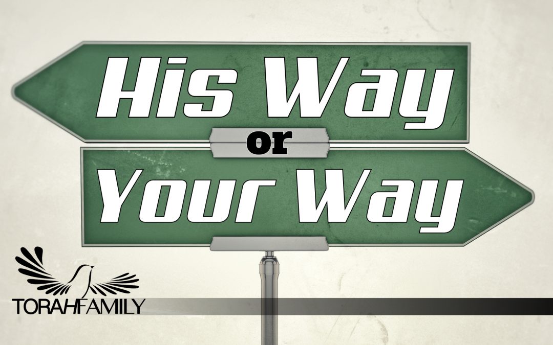 His Way or Your Way