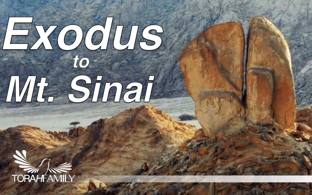 Exodus to Mt. Sinai