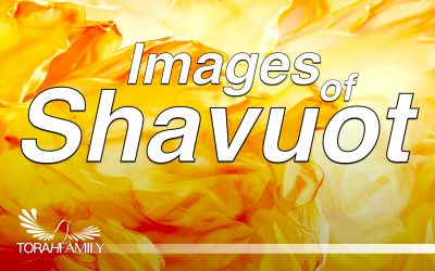 Images of Shavuot