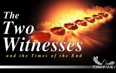 The Two Witnesses and the Times of the End