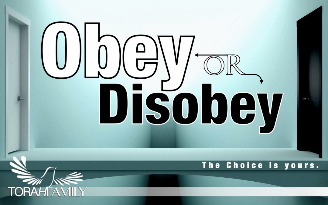 Obey or Disobey