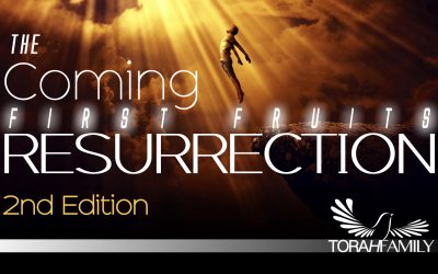 The Coming First Fruits Resurrection – 2nd Edition