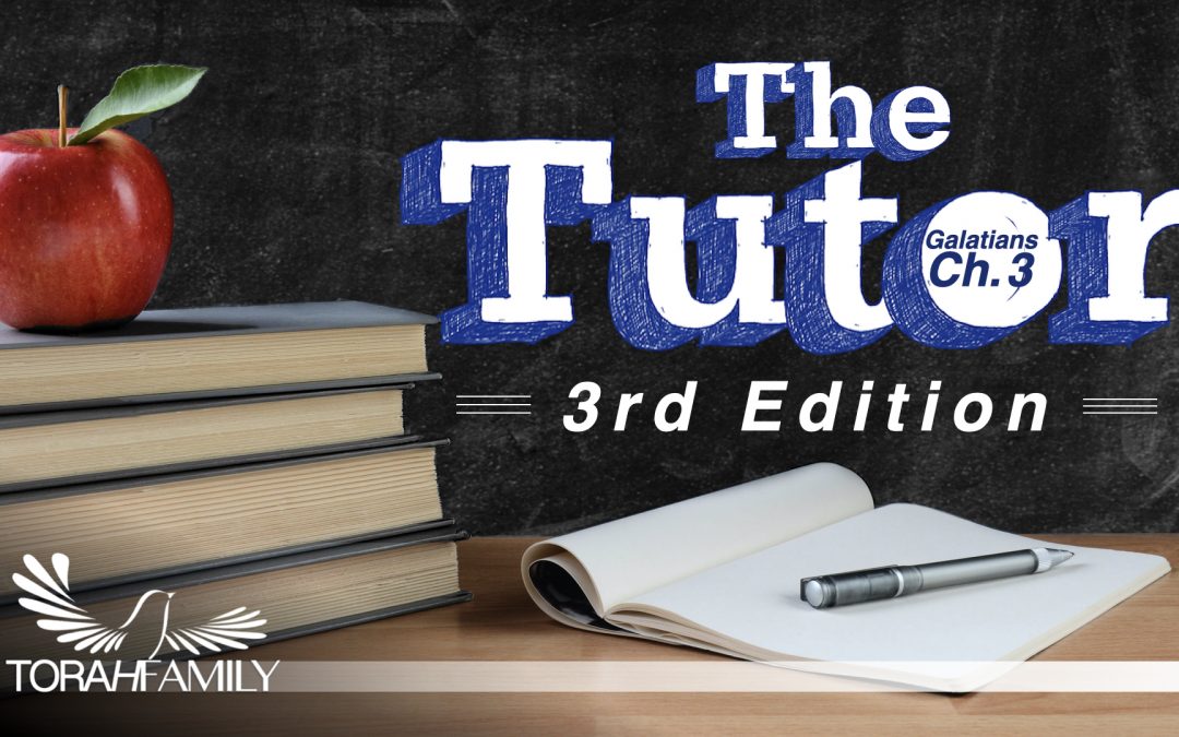 The Tutor – 3rd Edition