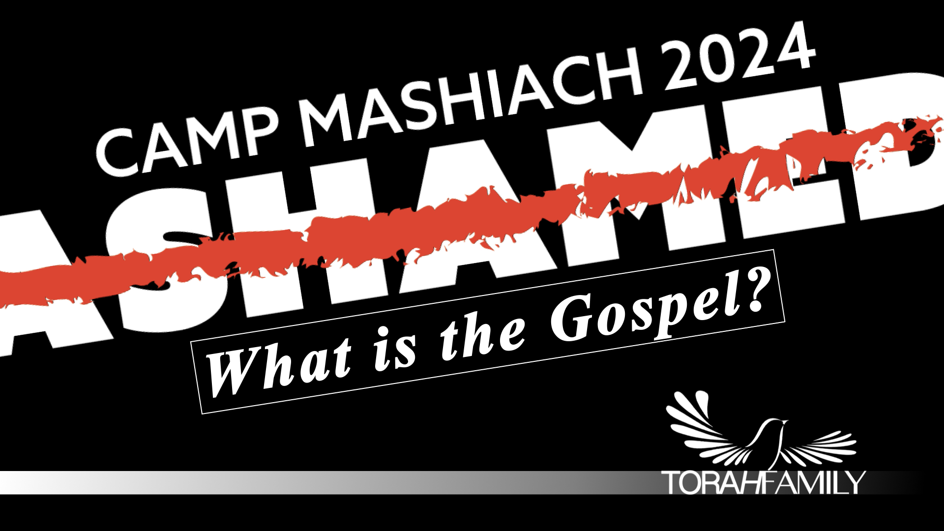 What is the Gospel?
