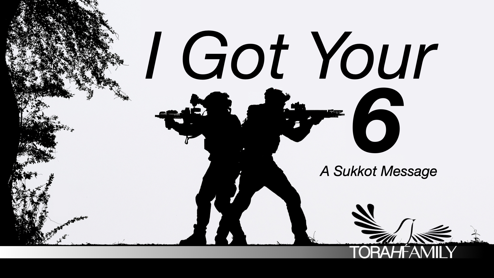 I Got Your 6