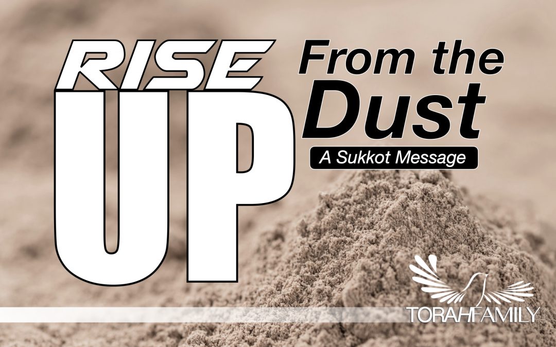 Rise Up from the Dust