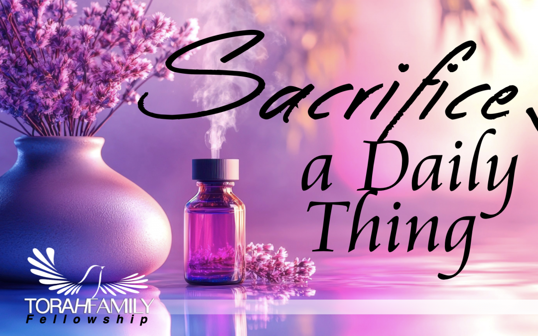 Sacrifice – A Daily Thing