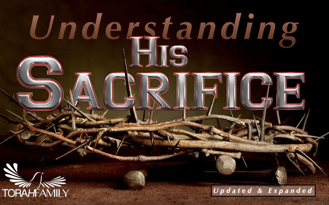 Understanding His Sacrifice