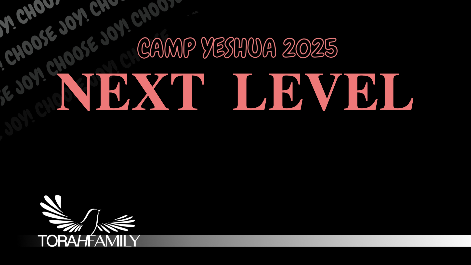 Next Level