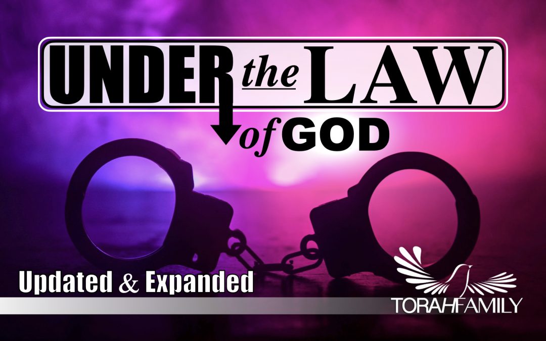 Under the Law of God